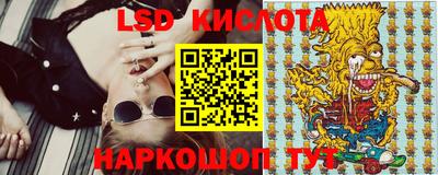 стаф Жуковский
