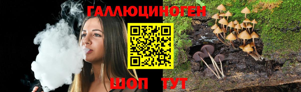 Галлюциногенные грибы MAGIC MUSHROOMS Луховицы